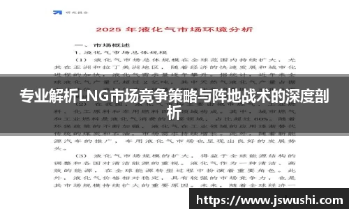 专业解析LNG市场竞争策略与阵地战术的深度剖析