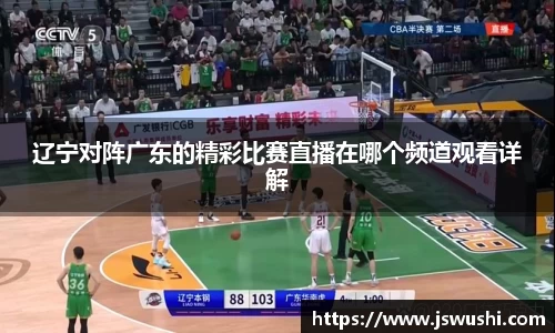 辽宁对阵广东的精彩比赛直播在哪个频道观看详解