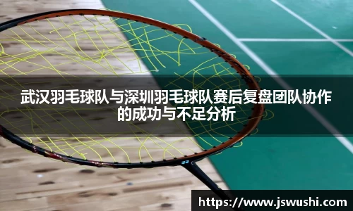 武汉羽毛球队与深圳羽毛球队赛后复盘团队协作的成功与不足分析