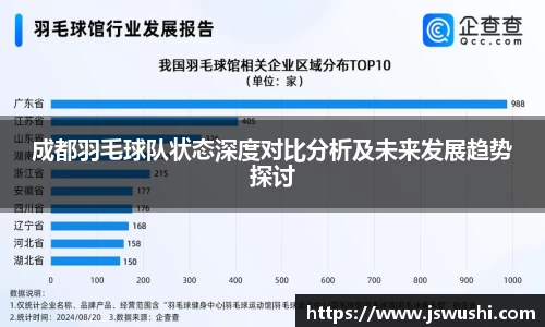 成都羽毛球队状态深度对比分析及未来发展趋势探讨